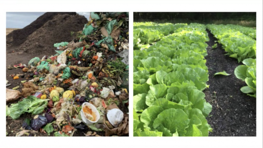 before and after composting