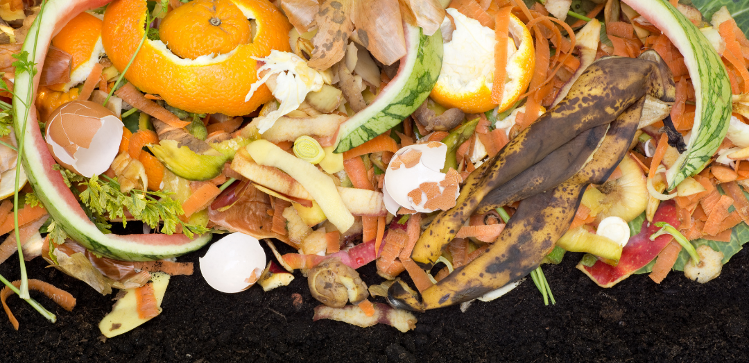 Compost pile