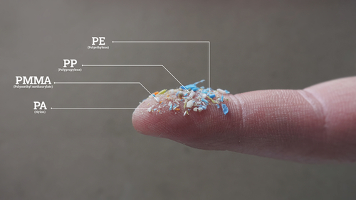 Microplastics are dangerous and easy to ingest. 
