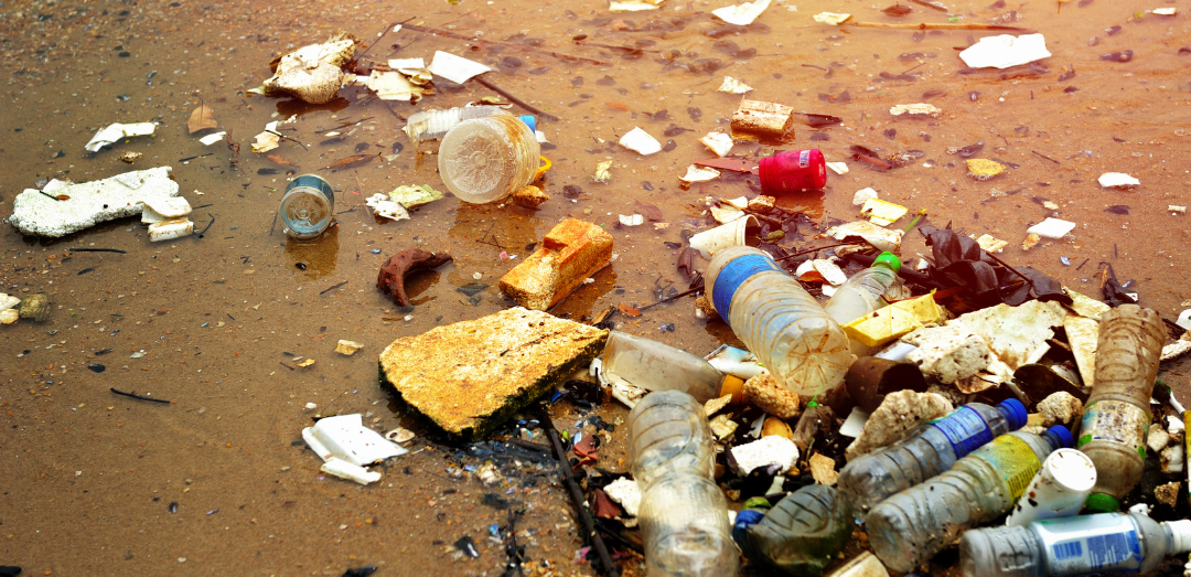 Beach litter and plastics