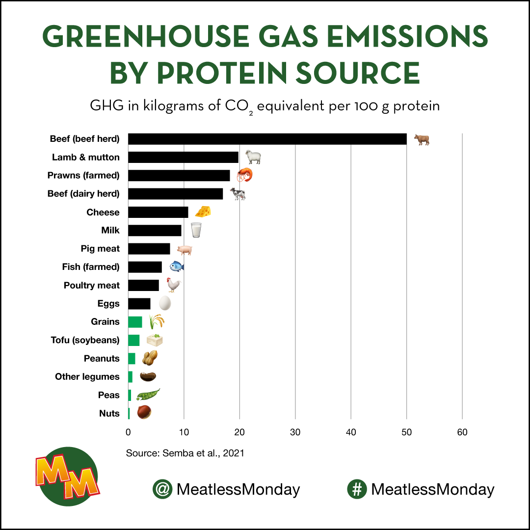 GHG by Protein Source Chart