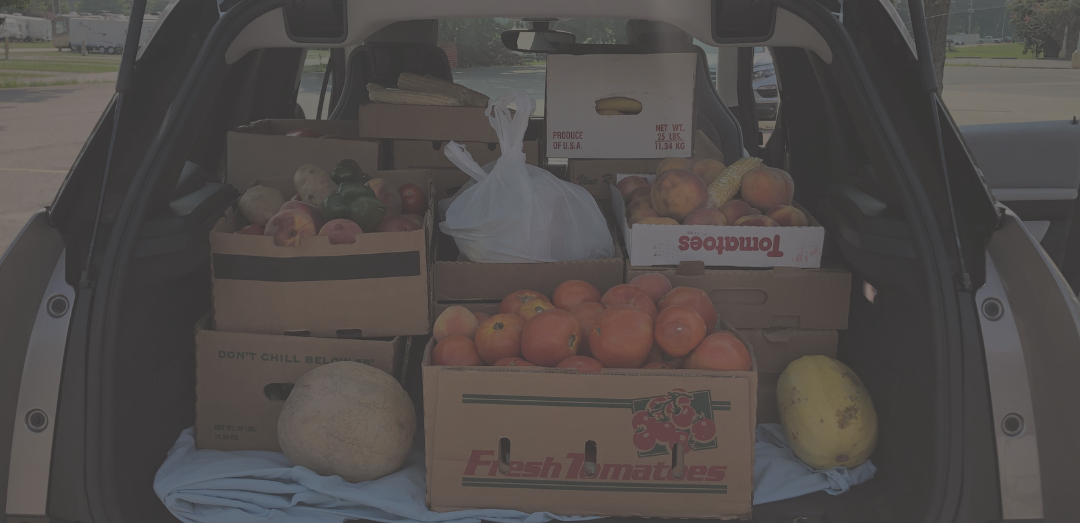Gleaned produce in the back of a car