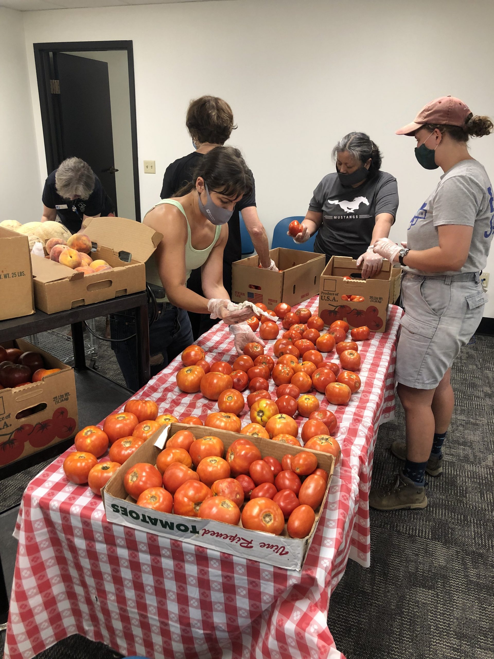 Green365 and St. Andrew Gleaning Fruits and Vegetables 