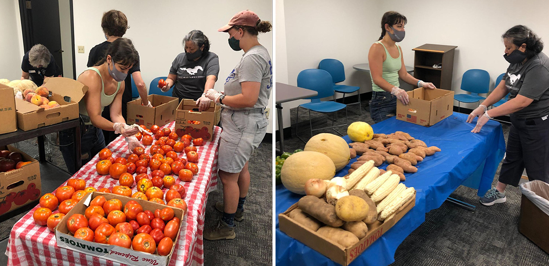 Food Waste Task Force 2021-2022 Gleaning at the Agricenter on 7-21-2021